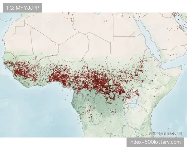 背景挖掘：非洲流媒体服务Showmax强势竞标英超撒哈拉以南非洲版权，挑战传统巨头SuperSport